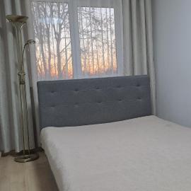 Irenos Nuoma, hotel en Šiauliai