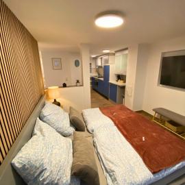 Modernes Apartment im Zentrum, Hotel in Kirchheim unter Teck