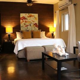Suite Romantica Valle AC WiFi Alberca y Asador
