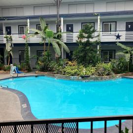 Budget Host Inn, hotel in Arlington