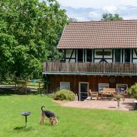 Forsthaus Halbemark, hotel in Bad Sooden-Allendorf