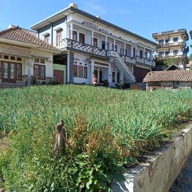 Manggala Homestay Bromo, hotel in Ngadisari
