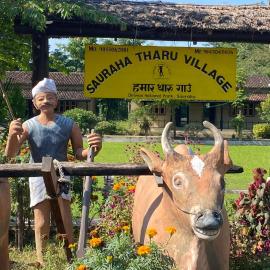 Sauraha Tharu Village