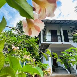 Wannihami Home Stay