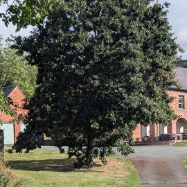 Gaer Hall