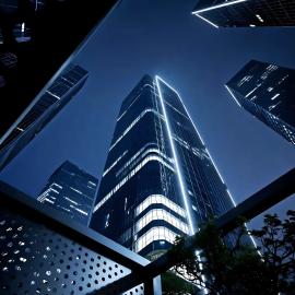 ShenZhen Platinum Collection Service Apt