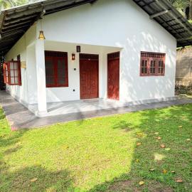 Dushan's House