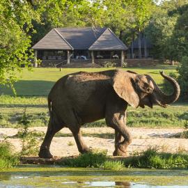 Inyati Game Lodge, hotel v destinácii Sabi Sand Game Reserve