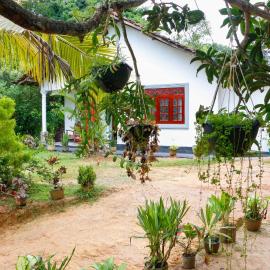 Mountain Breeze Inn Midigama