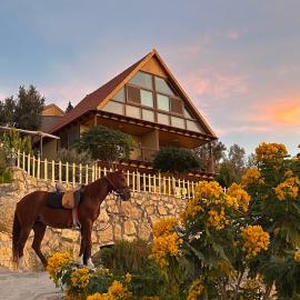 Dana luxury huts, khách sạn ở Dana