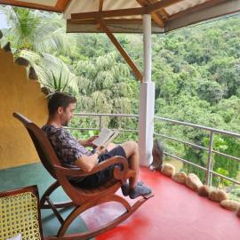 Rainforest View
