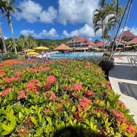Appart T2 les Saintes 34 Plages et vacances & wifi sainte Luce