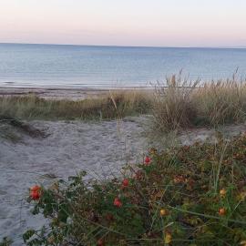 Luxury Retreat in Hornbaek - By Traum Ferienwohnungen – hotel w mieście Hornbæk