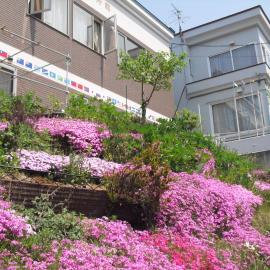 平和福祉友好館, Hotel in Mombetsu