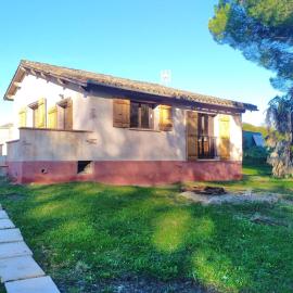La maison du pin