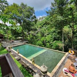 Bali Jungle Resort