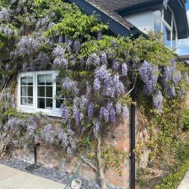 Curlew Cottage