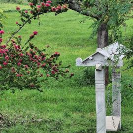 बंगलुरू में, होटल Peacock Abode Farm