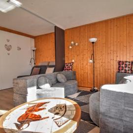 Bel appart refait 2 pièces, skis aux pieds, WIFI, parking - FR-1-524-30