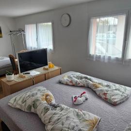 Private Etage 5 Min vom Bahnhof - Parken - Küche - Netflix, hotel in Widnau