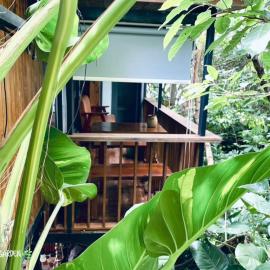 TROPICAL GARDEN Homestay, hotel a Buôn Alê (1)