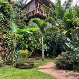 Cabaña privada en Cali, rodeado de naturaleza