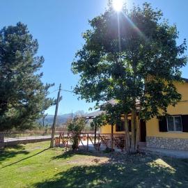 Guzzolini Camere & Relax, hotel in Camigliatello Silano