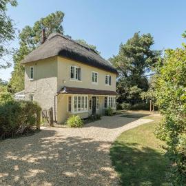Wonderful thatched cottage in the New Forest National Park