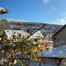 Ferienhaus Im Grünen, hotel in Zella-Mehlis