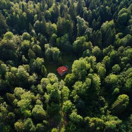 Gozdna koča Studeno, Hotel in Kočevje