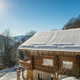 Chalet Les Lucioles, La Bresse 14p - SPA