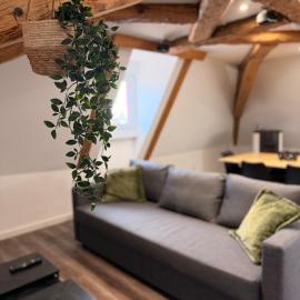 La cotonnade - Entre vignes et ville, hotel i Wintzenheim