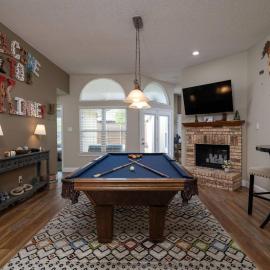 Pool - Pool Table - Board Games - Butterfly Garden
