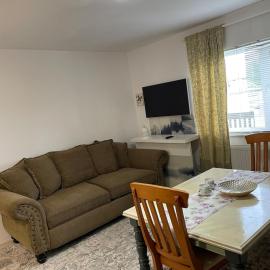 Grandma Guest house at Criseni