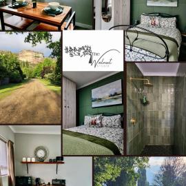 Walnut Studio