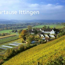 Kartause Ittingen, hotel u gradu 'Warth'