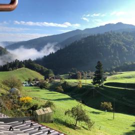 Daislehof，明斯特塔爾的飯店