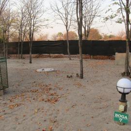 BOGA Rest Camp, hotel a Maun