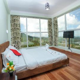 Tulips Valley View Resorts
