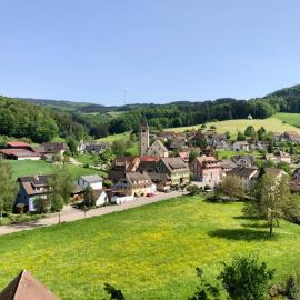 Ferien im Schwarzwald Dörlinbach II