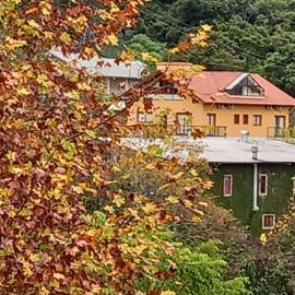 Vinicola e Pousada Peculiare, hotel in Bento Gonçalves