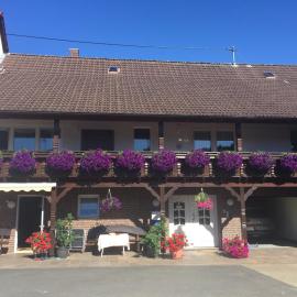 Privatzimmer Hoffmann, Hotel in Kaltenborn
