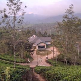 LilyRose Bungalow at Willows, Upcot, Sri Lanka, hotel 