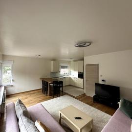 Cozy&Spacious apartment with garden