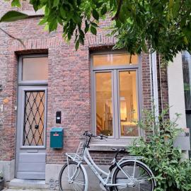 Funky Jungle house - Rustig gelegen rijwoning in hartje Mechelen, ξενοδοχείο σε Mechelen