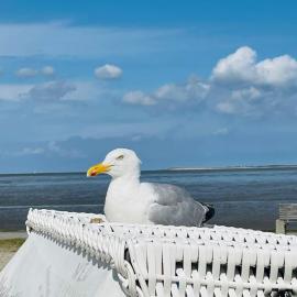 Ferienhaus StrandGut
