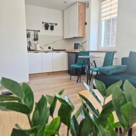 Apartament Zielona Jedlina, hotel u gradu Jedlina-Zdroj