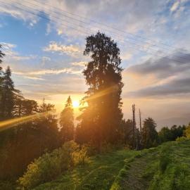 Smarthill-Green Forest View, hotel v destinácii Dalhousie