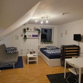 Business-Travel-Apartment & Ferienwohnung Münster, Check-In von 15 bis 22 Uhr möglich, отель в Мюнстере