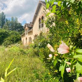 La Maison Sycomorette